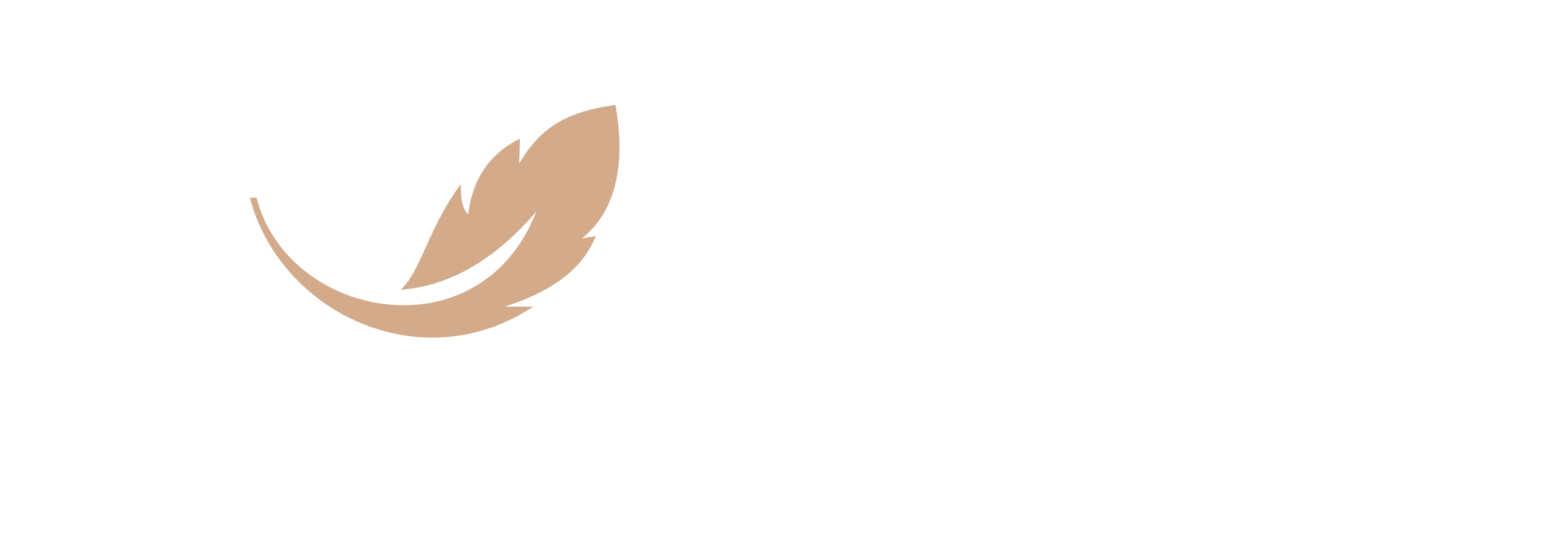 The Wright Law Office